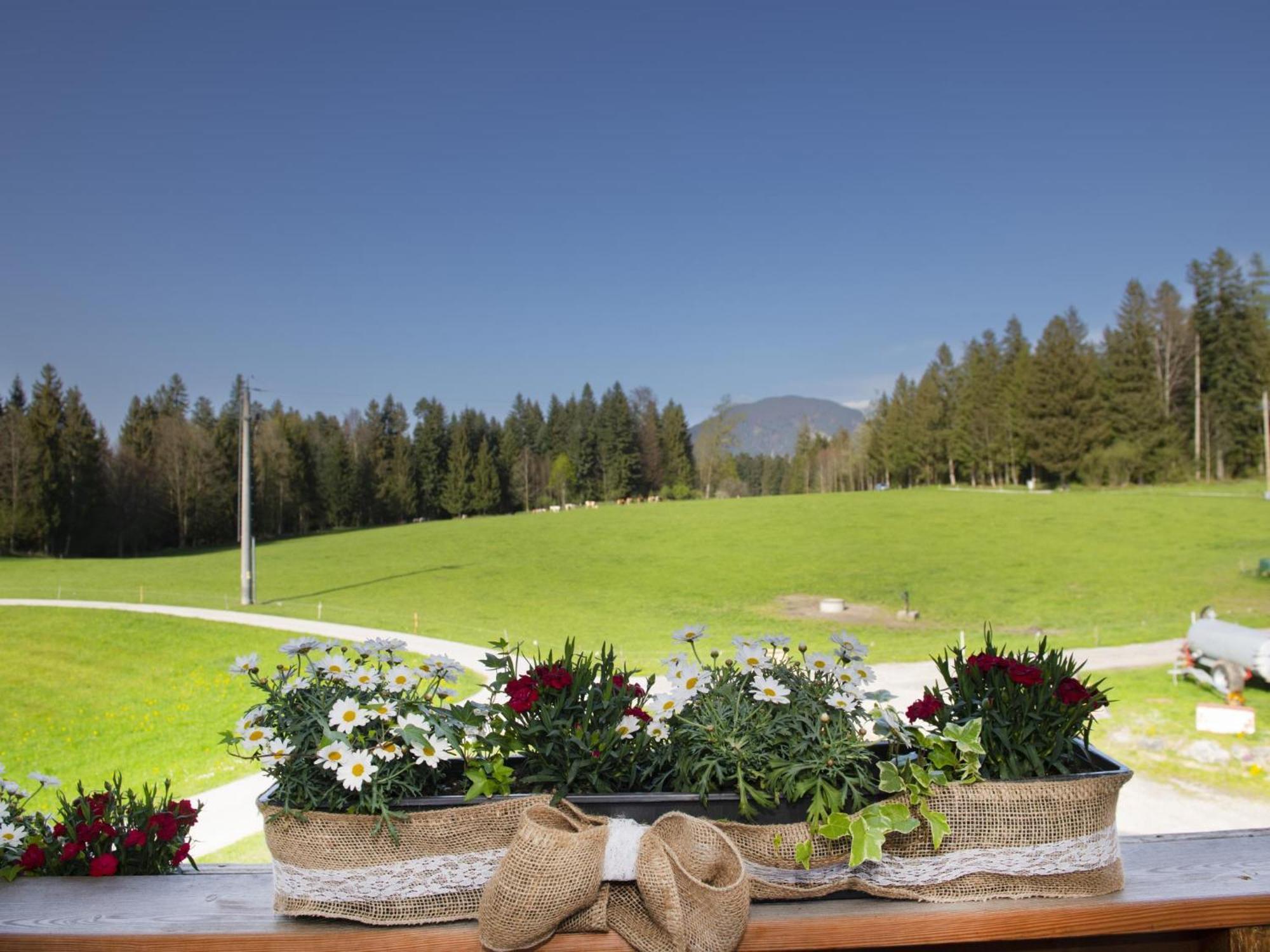 Auszeit Am Bauernhof Schwoich Exterior foto
